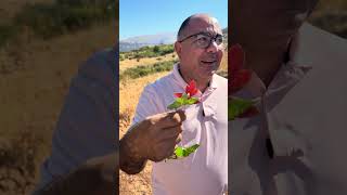 Marc the Nature Specialist