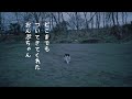 別れぎわ鳴きながらどこまでもあとをつけて来る猫 #shorts