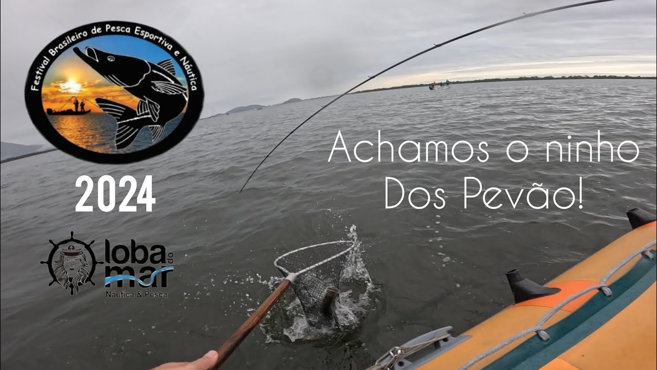 Festival Sul Brasileiro de Pesca 2024, Será que deu boa? Baía de Guaratuba - PR