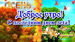 С Добрым утром вторника 31 августа С последним днем лета Завтра осень.