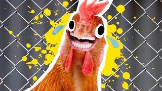 Roast a Whole Chicken in Air Fryer Rotisserie Rotary,Top Best Air Fryer Toaster Oven Combo in 2021 screenshot 3