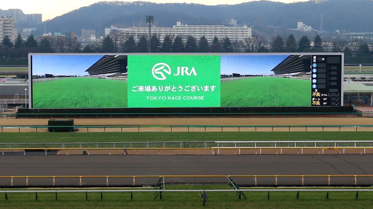 東京競馬場 マルチ画面ターフビジョン オッズカード メイショウサムソン 激安卸販売新品