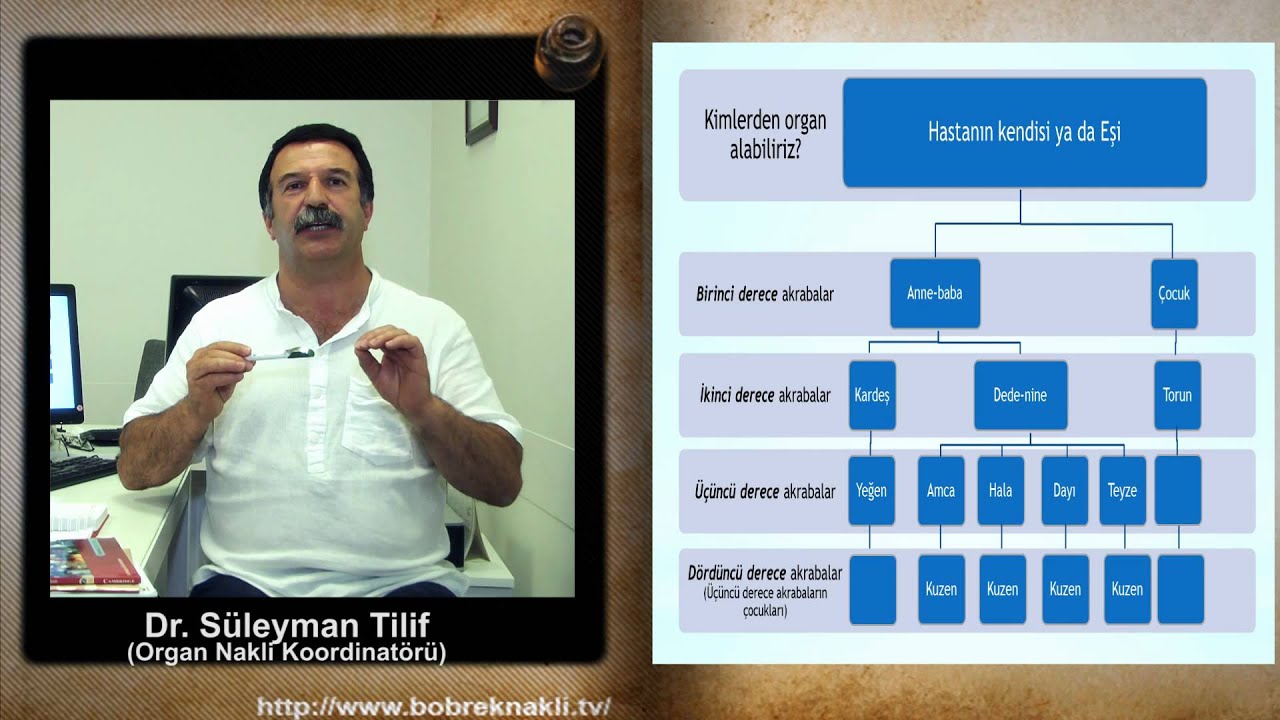Hangi akrabalar böbrek vericisi olabilir? - YouTube