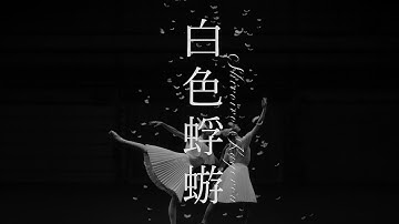 Aimer「Shiroiro Kagerou」 Music Video