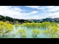 遠き風の声 TOHKI KAZENO KOE /  あんべ光俊 AMBE MITSUTOSHI
