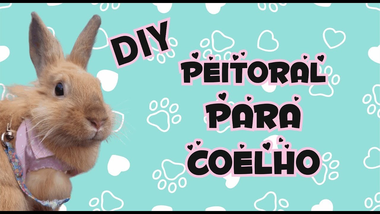 Como fazer peitoral para Coelho - DIY - Coelhando com a Meg