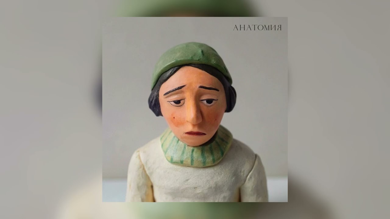 Борисовский Тракт — Анатомия