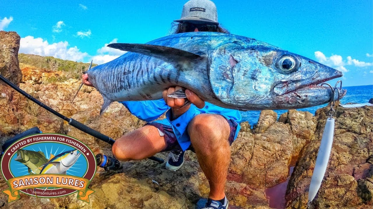 Big Spanish Mackerel Landbased (Off The Top in Australia) YouTube