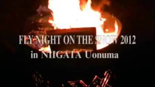FLY NIGHT ON THE SNOW 2012w.wmv