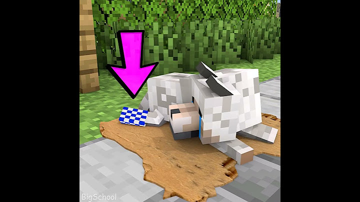 Does Mr.Beast Deserve To Go To Heaven Or Go Down Hell?