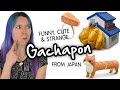 Funny GACHAPON from Japan