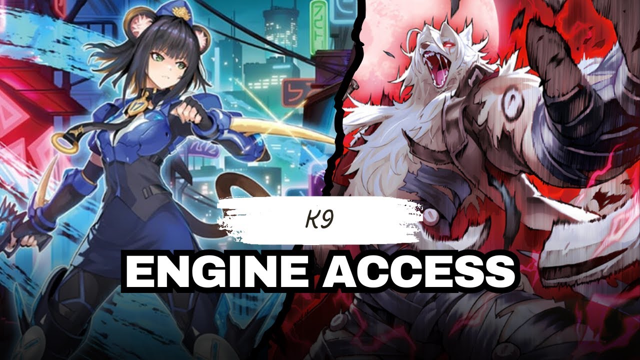 ДОСТУП К ДВИГАТЕЛЮ: (K9) ЧТО МОЖНО РАЗБРЫЗГНУТЬ? 