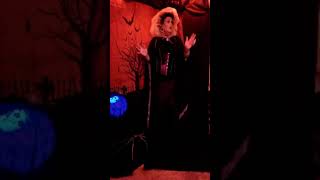 Download Lagu Witchy Woman by Stevie Nicks MP3