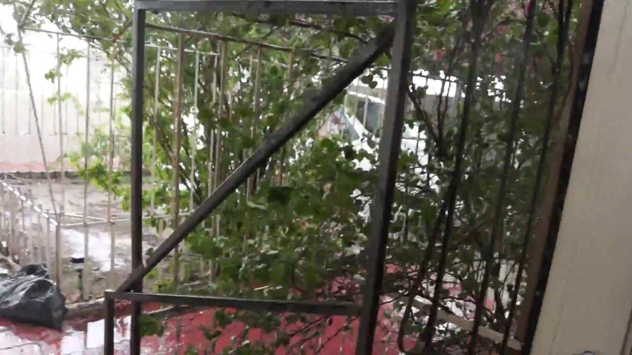 Rain ON Screen Door, 945 N Jefferson Ave, Ajo, AZ, 