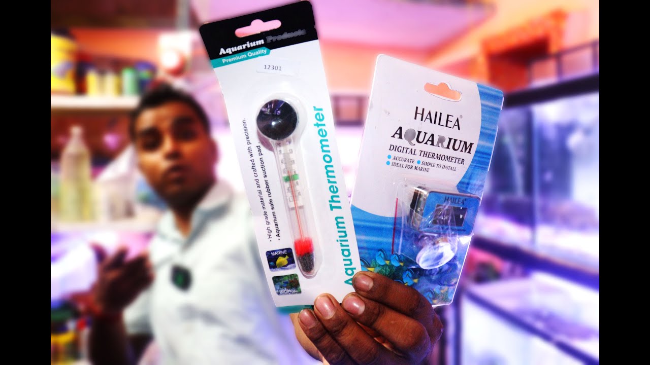 Best Thermometer For Aquarium