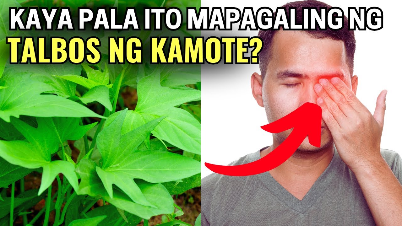 10 Sakit na Posibleng Mapagaling ng Talbos ng Kamote