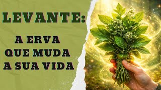 A Magia Da Erva Levante