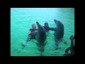 Ertv  episode 14  dolphin encounters part 3