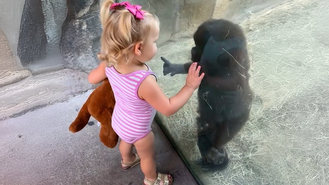 When Little Friends and Animals Have A Special Conversation for the First Time