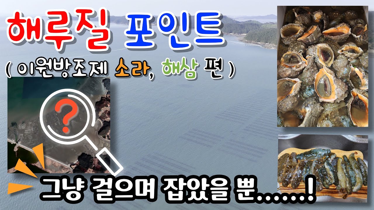 해루질 포인트 (이원방조제 폐양식장) #해삼 #소라 #태안 #해루질