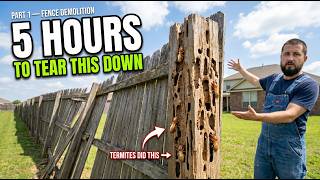 I Tore Down a 30-Year-Old Termite-Ridden Fence… The Result Was Terrifying