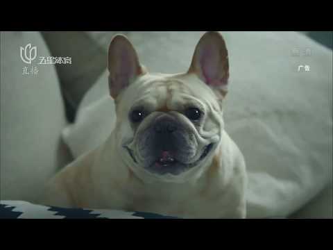 IKEA (宜家家居) China Commercial 2017 [1080p]