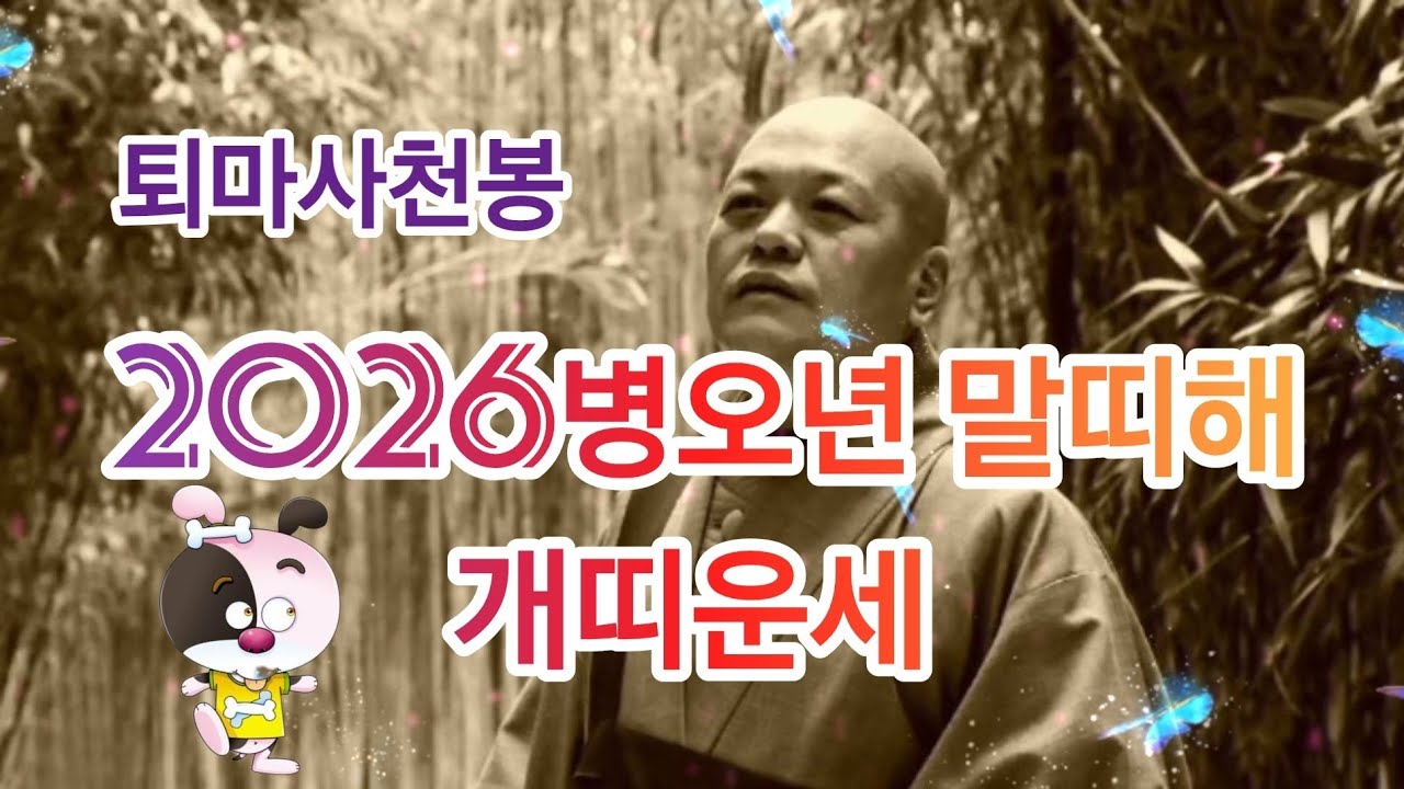 2026병오년 개띠 신년운세