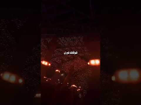 اصاله نصري اسفه شفلك غيري اغنيه اصاله نصري الجمهور مولع