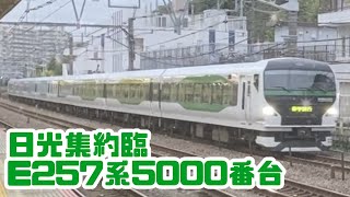 【修学旅行団体列車】日光集約臨時 E257系5000番台OM-92編成　保土ヶ谷通過