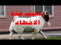 ماعز بور نصائح هامه جدأ 
