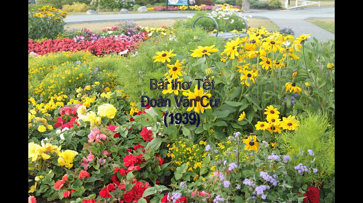 Bài thơ chơ tốt của tác giả đoàn văn cừ