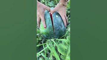 The process of quickly cutting a watermelon using a knife #shorts