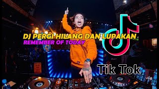 DJ PERGI HILANG DAN LUPAKAN - REMEMBER OF TODAY - VIRAL TIKTOK 2021