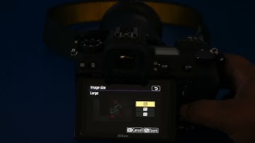 Nikon in camera converted Raw File in JPEG File Easily { हिन्दी मे }.