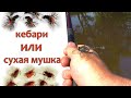 Кебари или Сухая Мушка? Ловля рыбы методом Тенкара на мушку Кебари ВВЕРХ по течению.