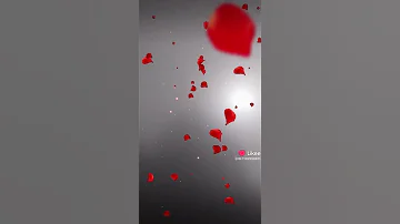 31 أغسطس 2025 