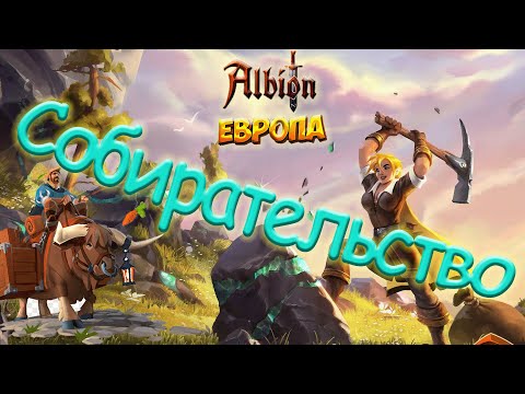 Видео: ПРАВИЛЬНЫЙ ФАРМ РЕСУРСОВ в AlbionOnline!! НОВИЧЁК "собирашка" !