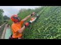 TRIMMING A HEDGE