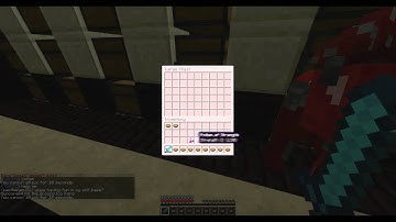 Mcpvp - Raid 17 Poor Random Kid