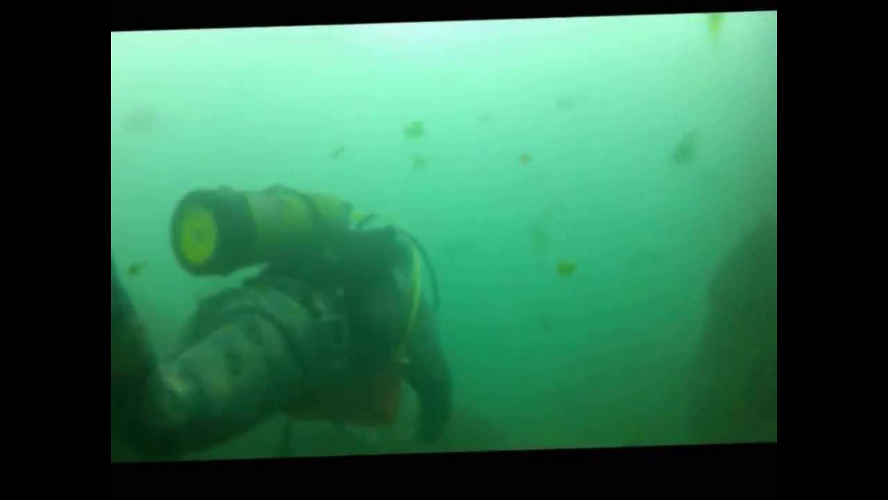 De Vuelta al Mar - Chondrolab UV