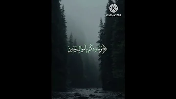 سبحان من خلق السماء بلا عمد اعمده 