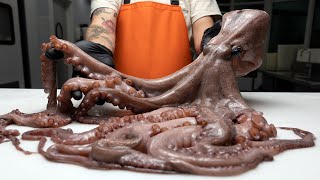 Why You Shouldn’t Be Afraid Of Octopus