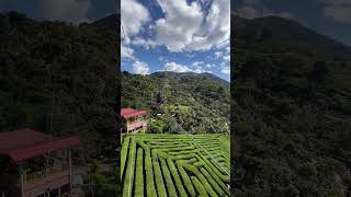Bike Zipline Adventure Accompanied With a Majestic View