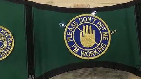 LilyPad Wearable Project