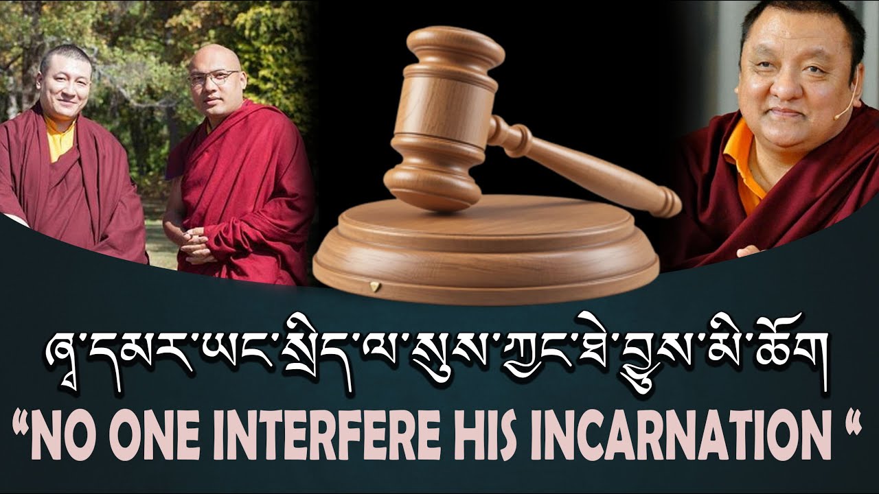 No one interfere with Shamar Reincarnation💡शमर रिनपोछे के पुनर्जन्म में कोई दखल नहीं देगा🤐🤐🤐