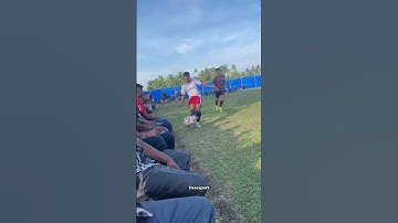 Do you think that AI will replace programmers?  #developer #juniordeveloper #programmer #programming