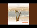 Capture de la vidéo Doppelkonzert In D Minor: I. Allegro (Arr. For Flute, Harp And String Orchestra By Andreas N....