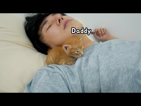 When my kitten <strong>thinks</strong> &amp;#39;I am his father&amp;#39;