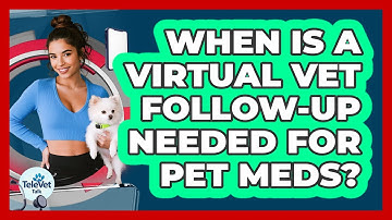 When Is a Virtual Vet Follow-Up Needed for Pet Meds?