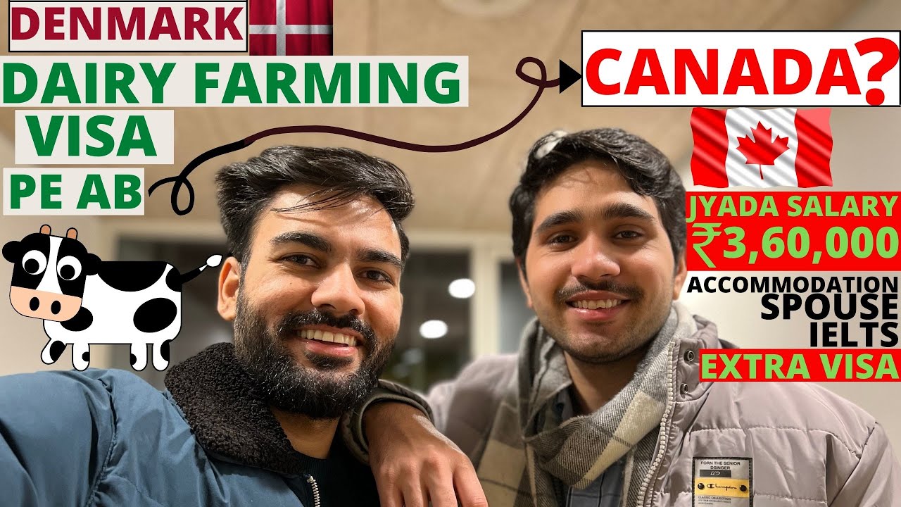 Dairy farming visa for Denmark | Dairy farming jobs in Denmark | Herdsman  job in Denmark - YouTube